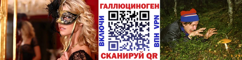 наркотики  Бирюсинск  Галлюциногенные грибы Cubensis 